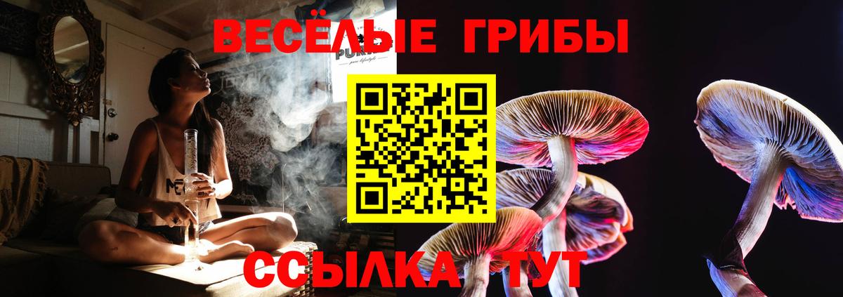 Галлюциногенные грибы прущие грибы  где купить наркоту  Саянск  Вход с VPN 